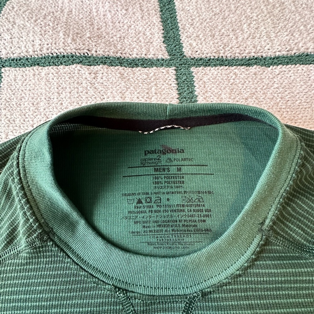 Patagonia Forest Green Striped Crewneck